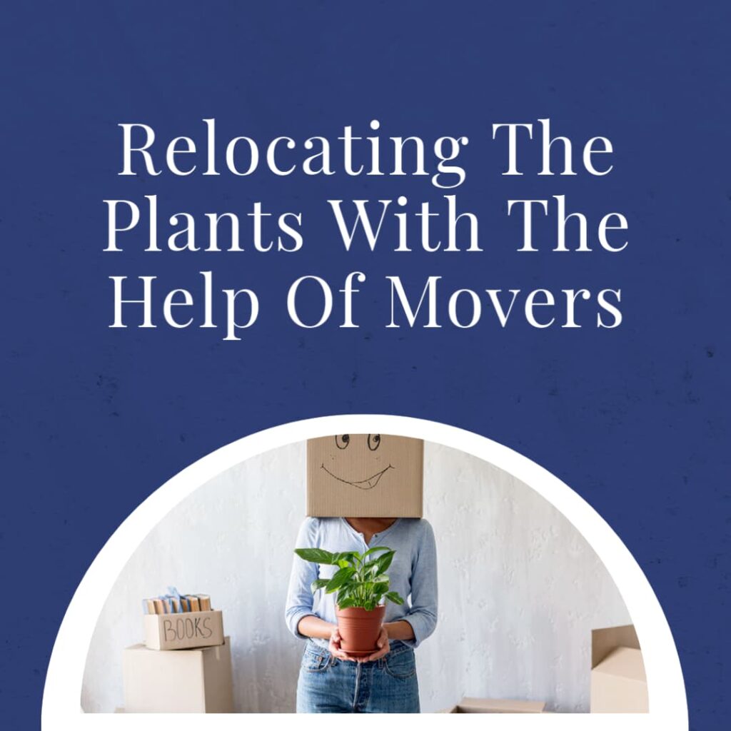 Relocating The Plants With The Help Of Movers