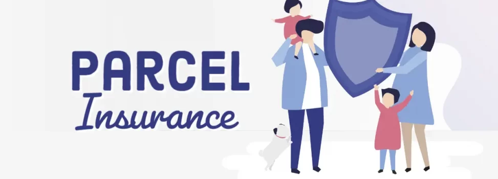 In-depth Information about Parcel Insurance for Customers