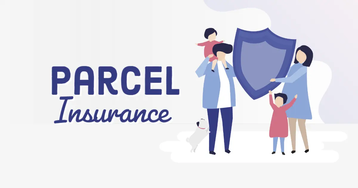 In-depth Information about Parcel Insurance for Customers