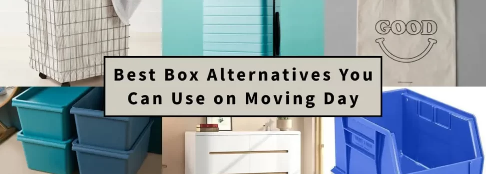 15 Best Box Alternatives You Can Use on Moving Day