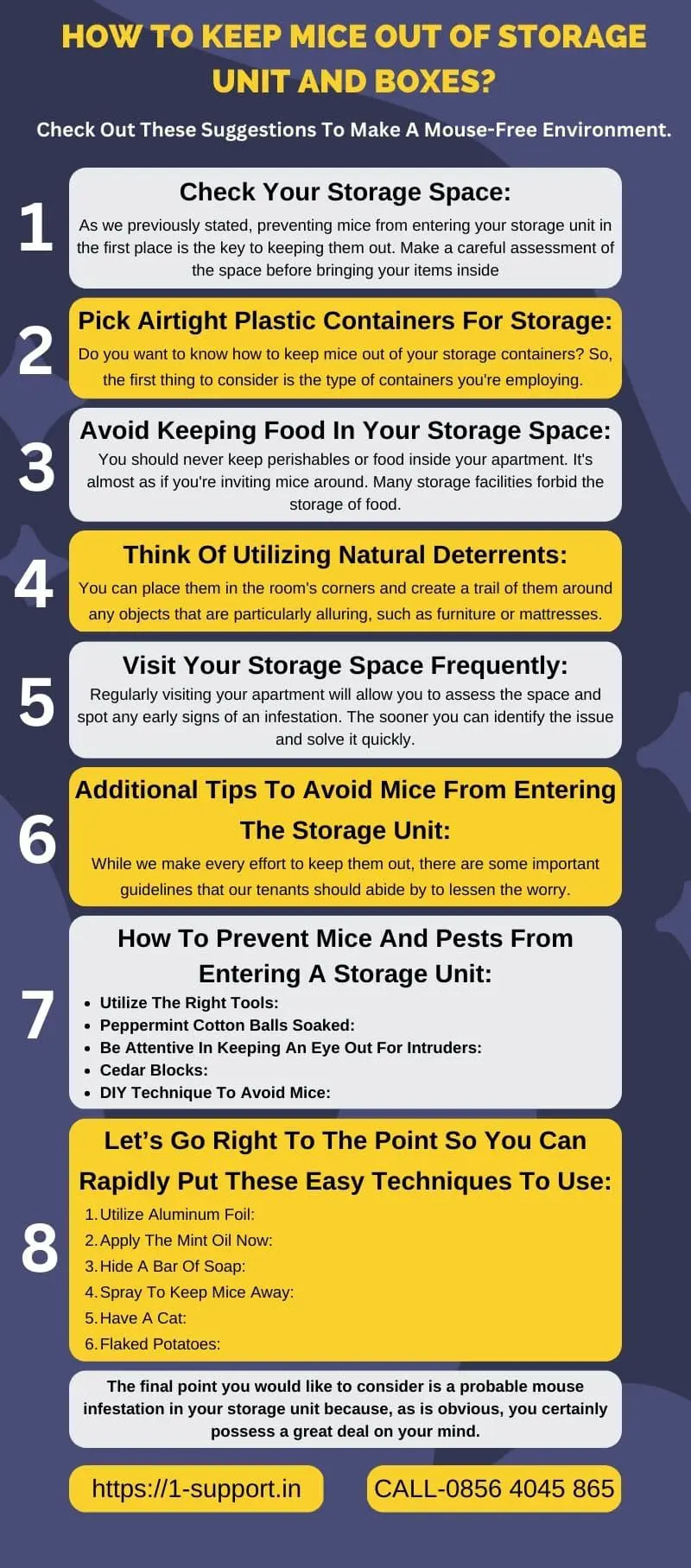 How to Keep Mice Out of Storage Unit And Boxes Infographic