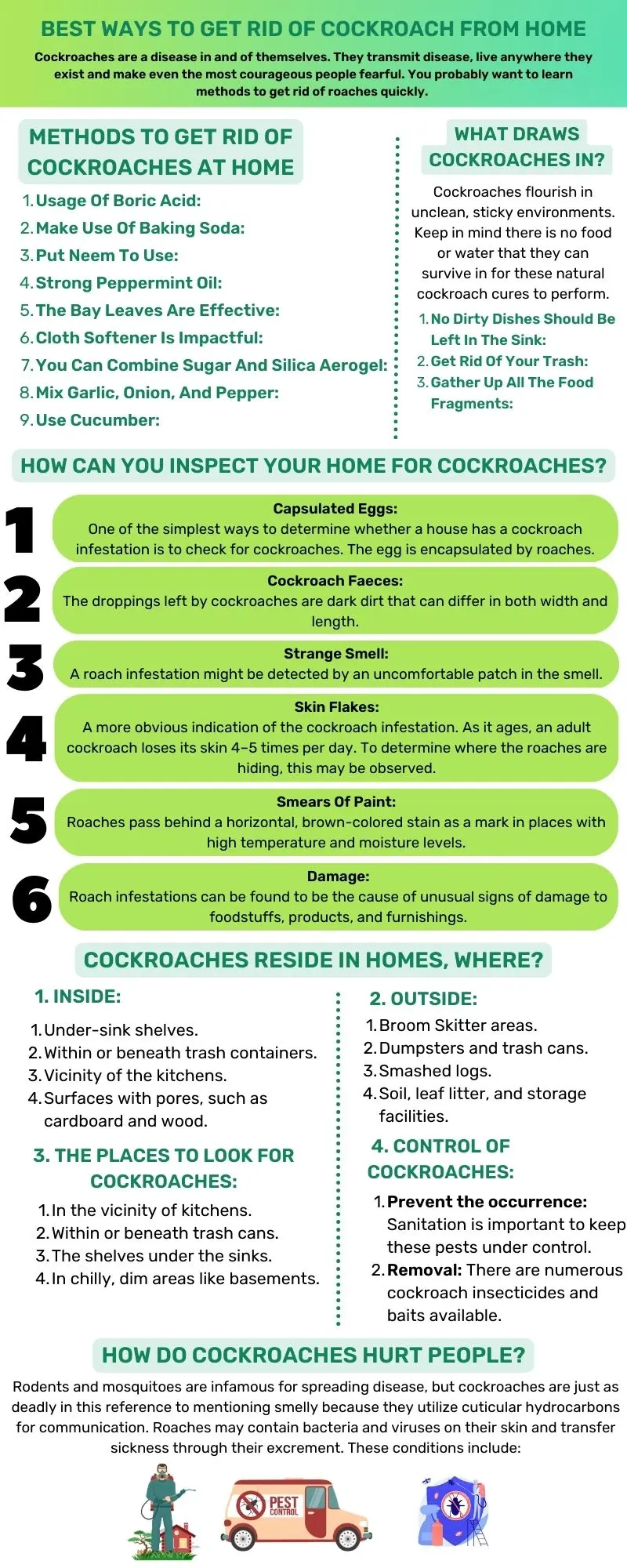 Best Ways To Get Rid Of Cockroach From Home Informational Infographic