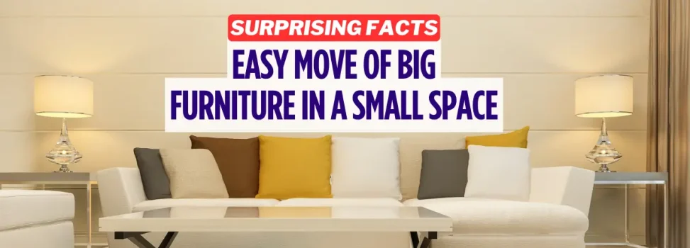 Surprising Facts: Easy Move Of Big Furniture In A Small Space