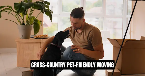 Cross-Country Pet-Friendly Moving