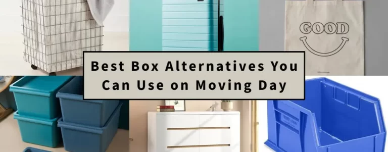 Best Box Alternatives You Can Use on Moving Day