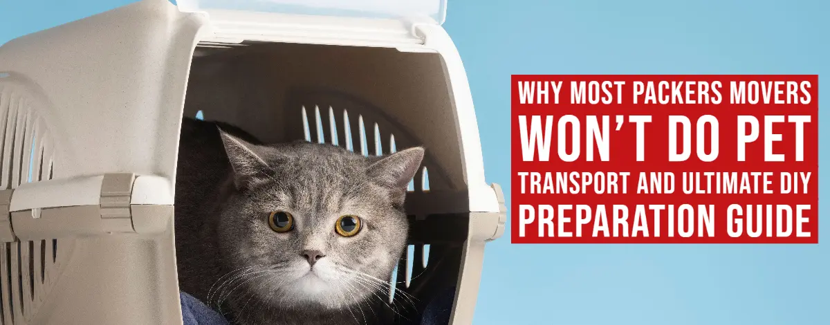 Why Most Packers Movers Won’t Do Pet Transport And Ultimate DIY Preparation Guide
