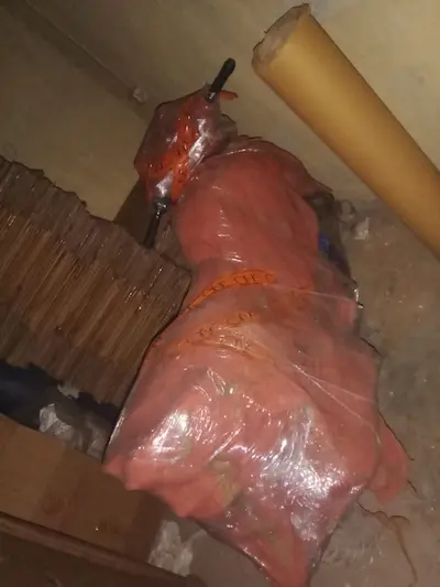 Bike Transport Services in Jalandhar